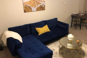 Cozy Modern 1 bd Apt Near NRG & Downtown Houston